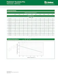 RUEF300-1 Datenblatt Seite 2