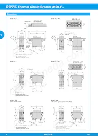 3120-F70T-N7Q1-A20Q-20A Datasheet Pagina 4