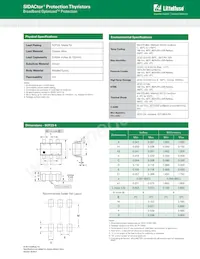 SDP0240T023G6RP數據表 頁面 4