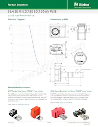 3998600.ZXM10-SB Datasheet Page 2