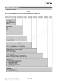 B72540E3300K072 Datasheet Pagina 2