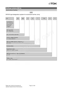 B72540E3300K072 Datasheet Pagina 3