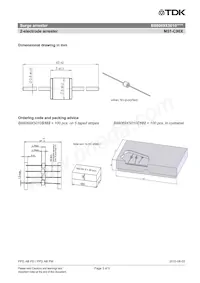 B88069X5010S102 Datasheet Pagina 3