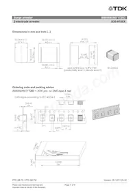 B88069X6071T203 Datasheet Page 4