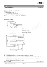 B88069X8740B102 Datasheet Pagina 3