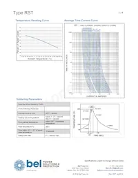 RST 6.3-BULK-SHORT Datasheet Pagina 3