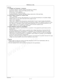 DE21XSA470KN3AY02F Datasheet Page 4