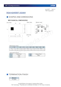 DEA142450BT-3024A1 Datasheet Page 2