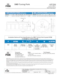 FKFSMEIHM0.032768-T2 Datenblatt Seite 2