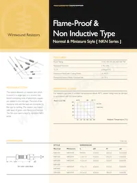 NKN3WSJT-73-170R Datasheet Cover