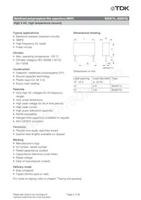 B32672L0683J289 Datasheet Pagina 2