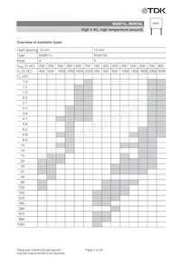 B32672L0683J289 Datasheet Pagina 3