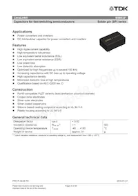 B58033I7106M001 Datasheet Pagina 2