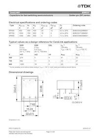 B58033I7106M001 Datenblatt Seite 3