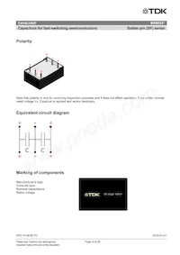 B58033I7106M001 Datasheet Pagina 4