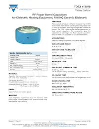 BZ118078WV75036CB1 Datasheet Copertura