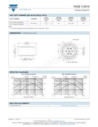 BZ118078WV75036CB1 Datasheet Pagina 2