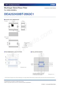 DEA252450BT-2063C1數據表 頁面 2