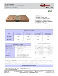 RSJ-2000-100 Datenblatt Cover