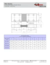 RSJ-2000-100 Datenblatt Seite 2