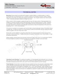 RSJ-2000-100 Datenblatt Seite 3