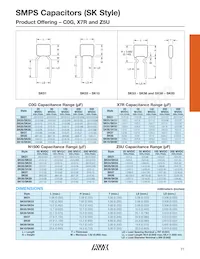 SK555E106ZAA Datasheet Page 2