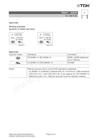 B32911A5123K000 Datasheet Pagina 3