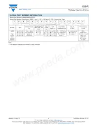 IGBRD1500BJOPCT5 Datenblatt Seite 3