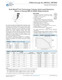 Y0054297K383T29L Datasheet Copertura