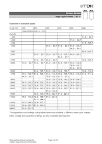 B43564B9228M000 Datasheet Pagina 9