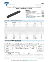 FVE030020ER800KE Datasheet Copertura