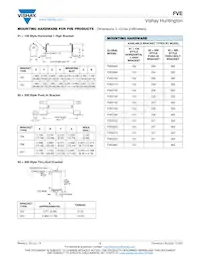 FVE030020ER800KE Datasheet Pagina 3