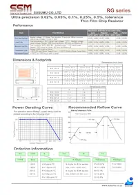 RG3216P-9102-B-T1 Datasheet Page 2