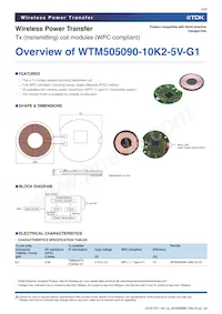 WTM505090-10K2-5V-G1 Datasheet Pagina 2