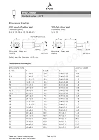 B43821F2277M000數據表 頁面 4