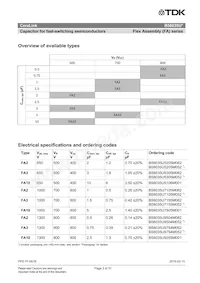 B58035U7155M062 Datasheet Pagina 3