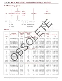 SNR47M100ST Datasheet Page 2