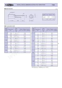 100YXM22MEFCT78X11.5 Datenblatt Seite 2