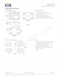 407T39E050M0000 Datasheet Pagina 3