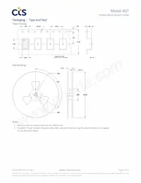 407T39E050M0000 Datasheet Page 4