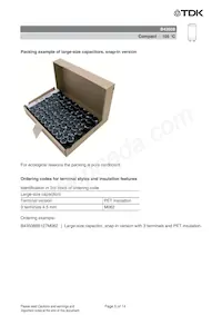 B43508A5687M87 Datasheet Pagina 5