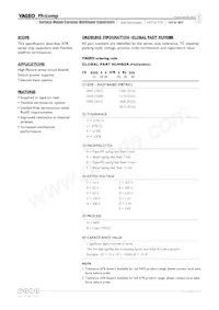 CS1210KKX7R0BB225 Datasheet Page 2