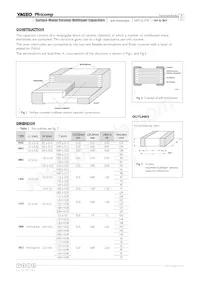 CS1210KKX7R0BB225 Datasheet Pagina 3