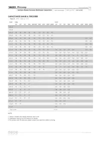 CS1210KKX7R0BB225 Datenblatt Seite 10