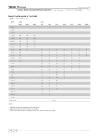 CS1210KKX7R0BB225 Datasheet Pagina 11