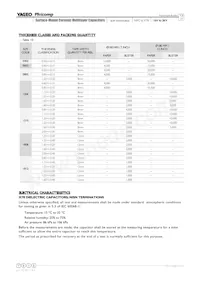 CS1210KKX7R0BB225 Datenblatt Seite 12