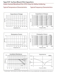 FCP2416H224J-D5 Datasheet Pagina 3