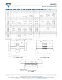 MAL213826339E3 Datasheet Page 2