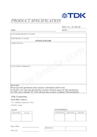 WT252512-8F2-SM Datasheet Cover