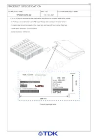 WT252512-8F2-SM Datasheet Page 8